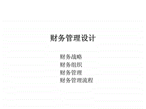 财务管理模式设计方案.ppt