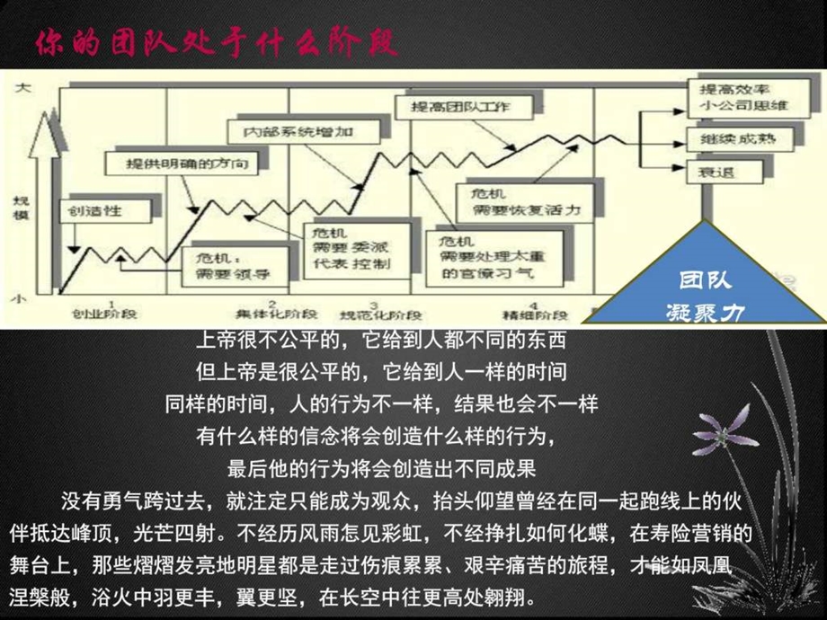 训练公司训练营方案图文.ppt.ppt_第3页