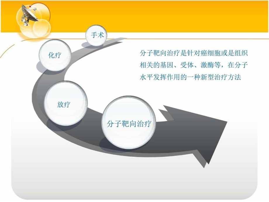 分子靶向药物EGFRTKI的皮肤毒性副反应的诊断和处理pp....ppt.ppt_第2页