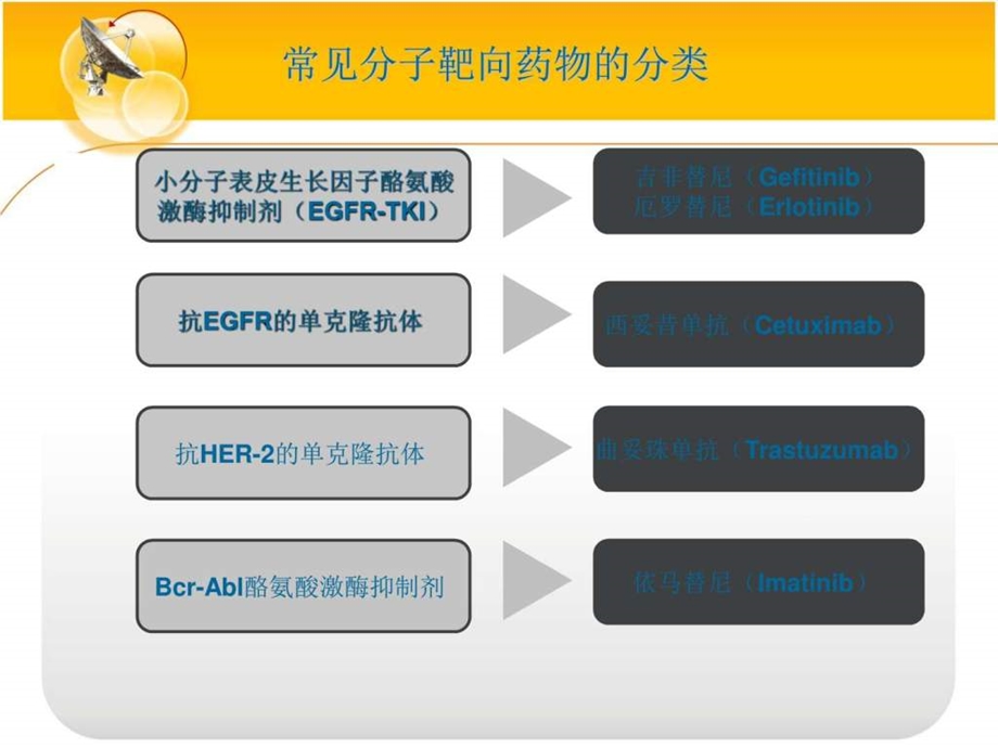 分子靶向药物EGFRTKI的皮肤毒性副反应的诊断和处理pp....ppt.ppt_第3页