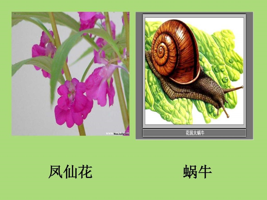 1身体的结构.ppt.ppt_第2页