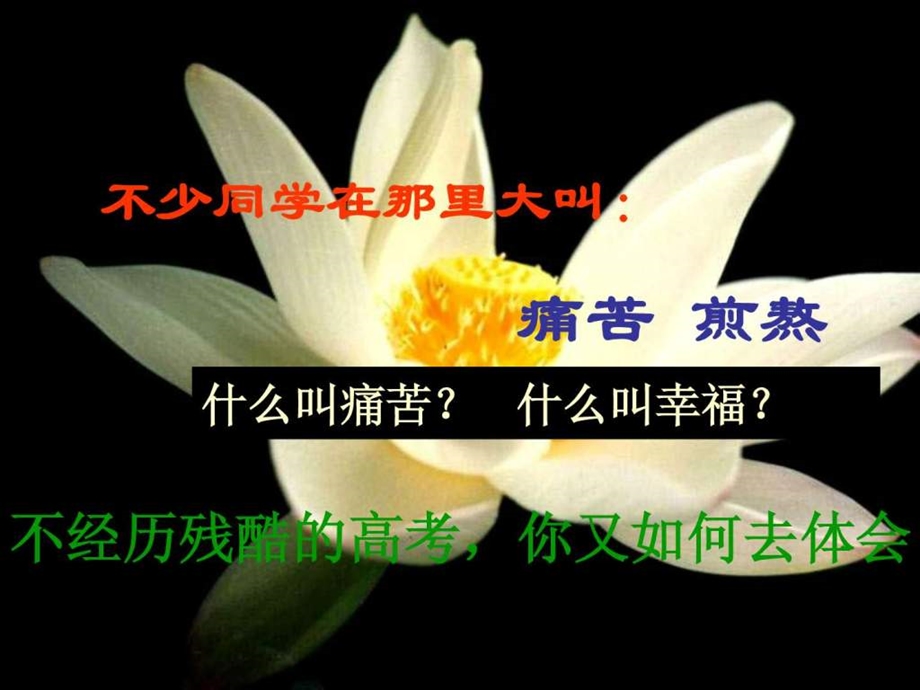 只为成功找方法主题班会.ppt_第2页