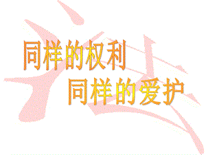 同样的权利_同样的爱护.ppt