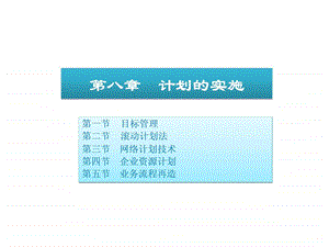 管理学原理与方法第八章计划的实施.ppt