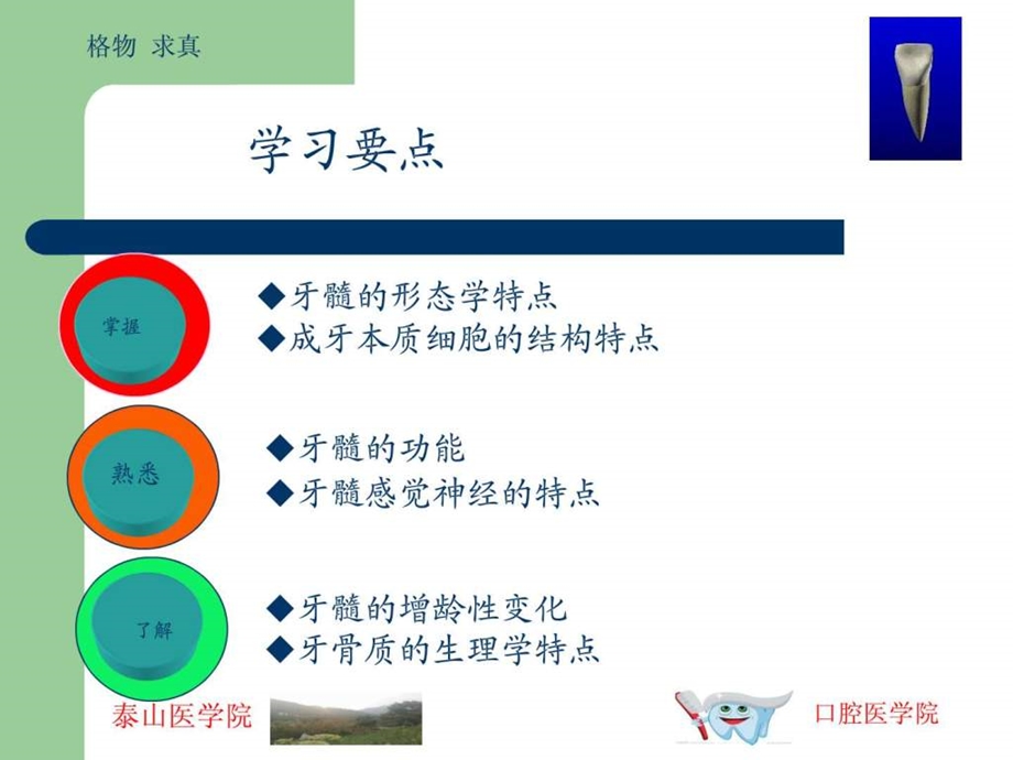 牙髓及根尖周的组织学特点.ppt.ppt_第2页