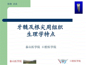 牙髓及根尖周的组织学特点.ppt.ppt