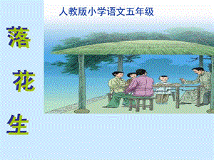 落花生图文.ppt.ppt