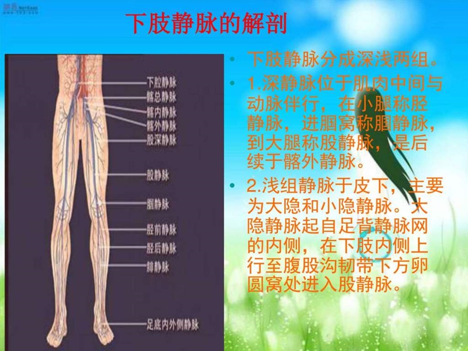 深静脉血栓的预防及护理图文.ppt.ppt_第3页