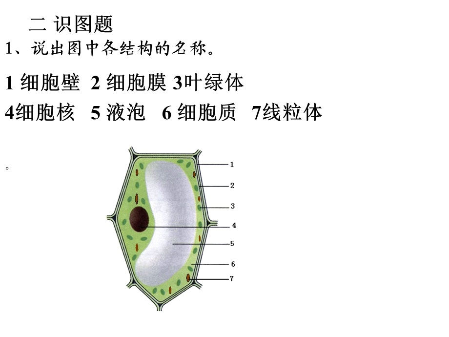 复习课《细胞的结构和功能》.ppt_第3页