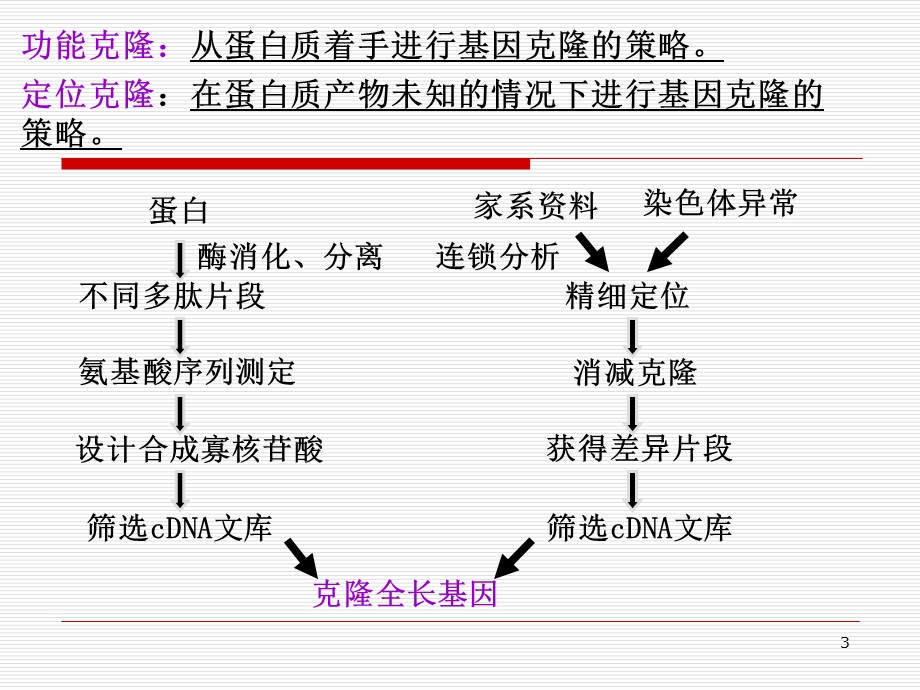 医学遗传学精品课件南方医科大学单基因病致病基因的鉴定.ppt_第3页