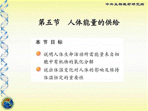 人体能量的供给1521698458.ppt.ppt