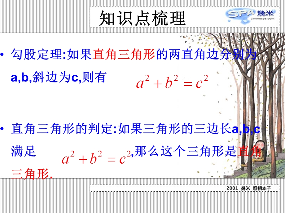 初二数学《勾股定理》PPT复习课件.ppt_第2页