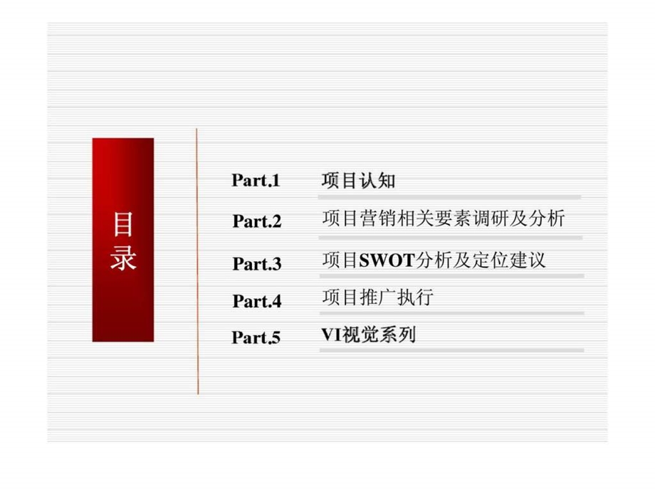 盱眙县第五中学西侧地块项目推广执行方案1.ppt_第2页