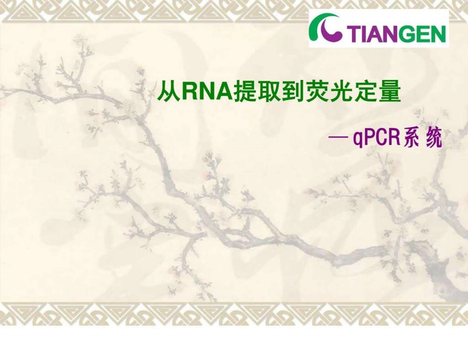 qpcr原理与分析方法图文.ppt_第1页