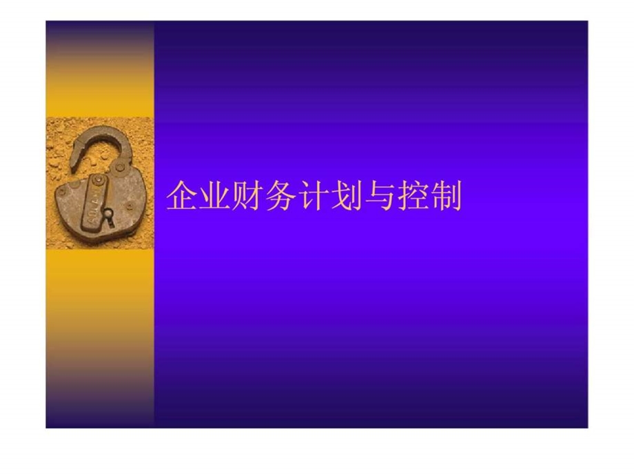 企业财务计划与控制.ppt_第1页