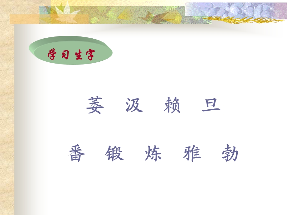 六年级《桃花心木》课件.ppt_第3页