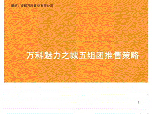 万科魅力之城五组团推售策略.ppt