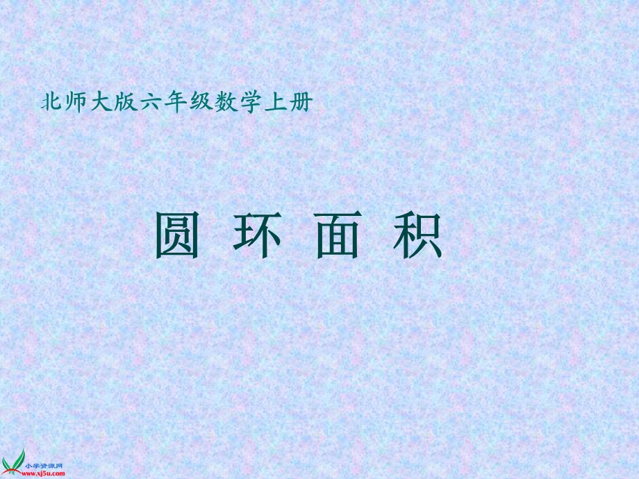 北师大版六年级数学上册《圆环面积》PPT课件.ppt_第1页