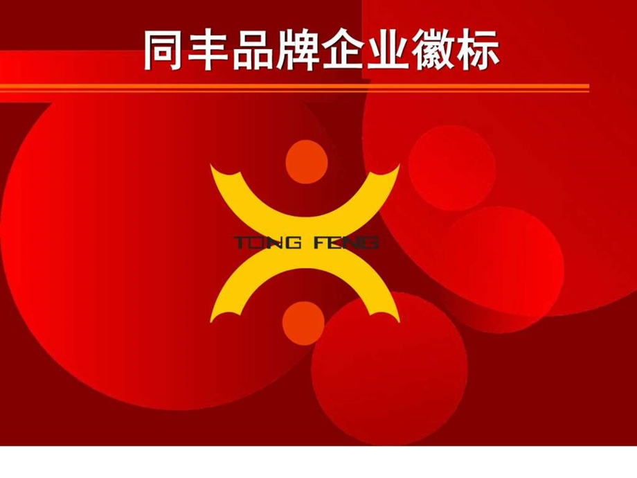 云南同丰医药有限公司.ppt.ppt_第2页