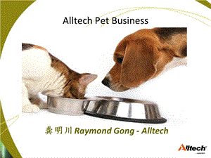 chinesepetbusinesssummaryin06.ppt