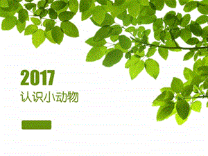 认识小动物图文.ppt.ppt