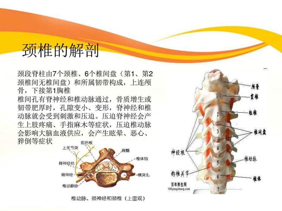 10颈椎病的护理图文.ppt.ppt_第3页