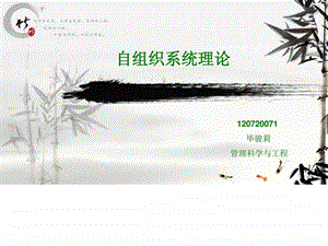 自组织系统理论.ppt