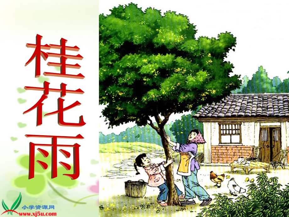 四上桂花雨第二课时.ppt_第1页