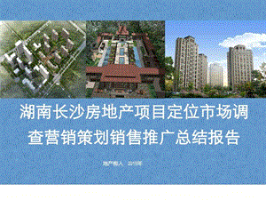 湖南长沙房地产项目定位市场调查营销策划销售推广总结....ppt