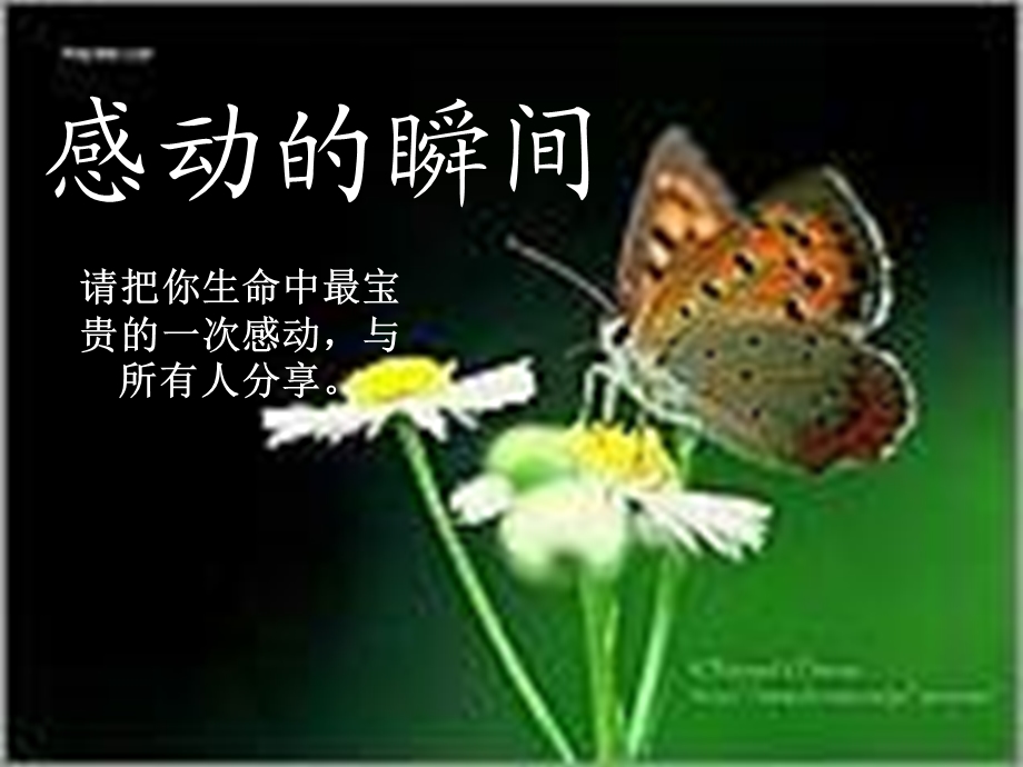 八年级主题班会课件——心灵的震撼.ppt_第1页