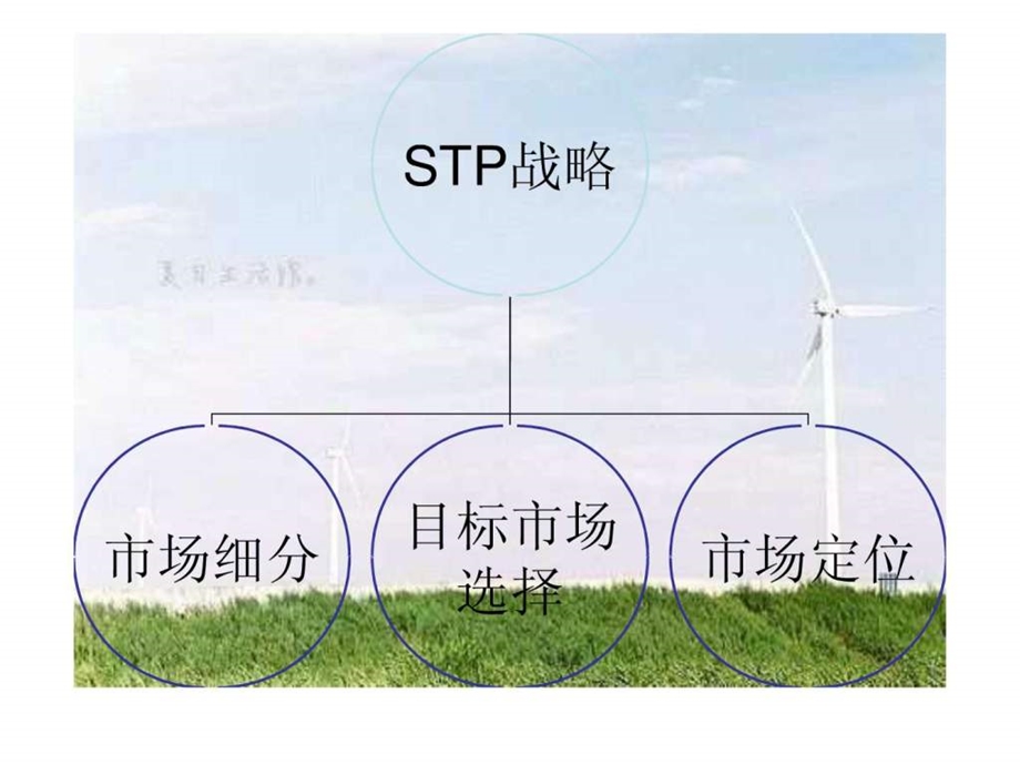 STP策略长虹彩电.ppt.ppt_第3页