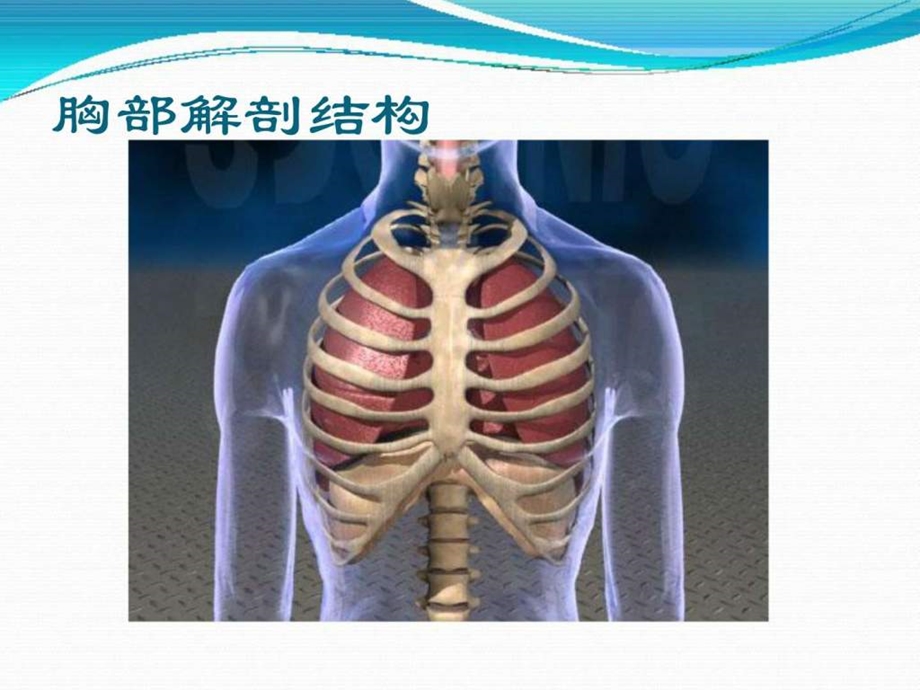 胸腔闭式引流.ppt.ppt_第3页