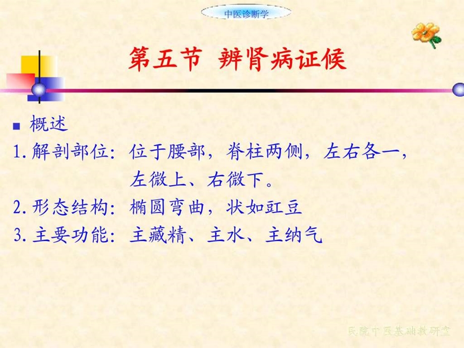 辨肾病证候.ppt_第2页