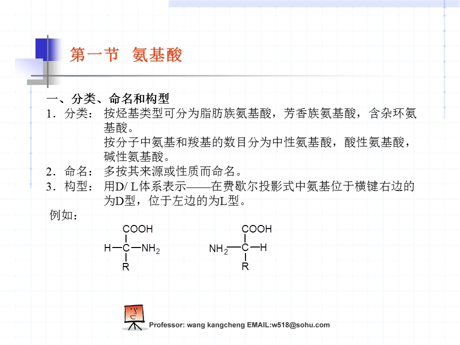 蛋白质和核酸.ppt_第2页