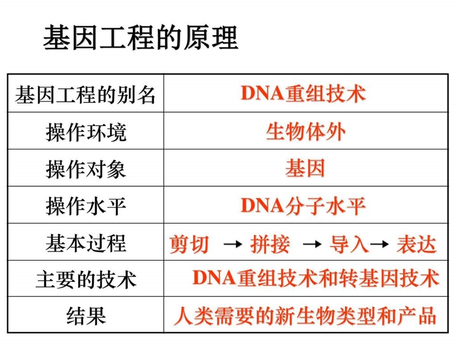 1.1DNA组技术的基本工具图文.ppt.ppt_第3页