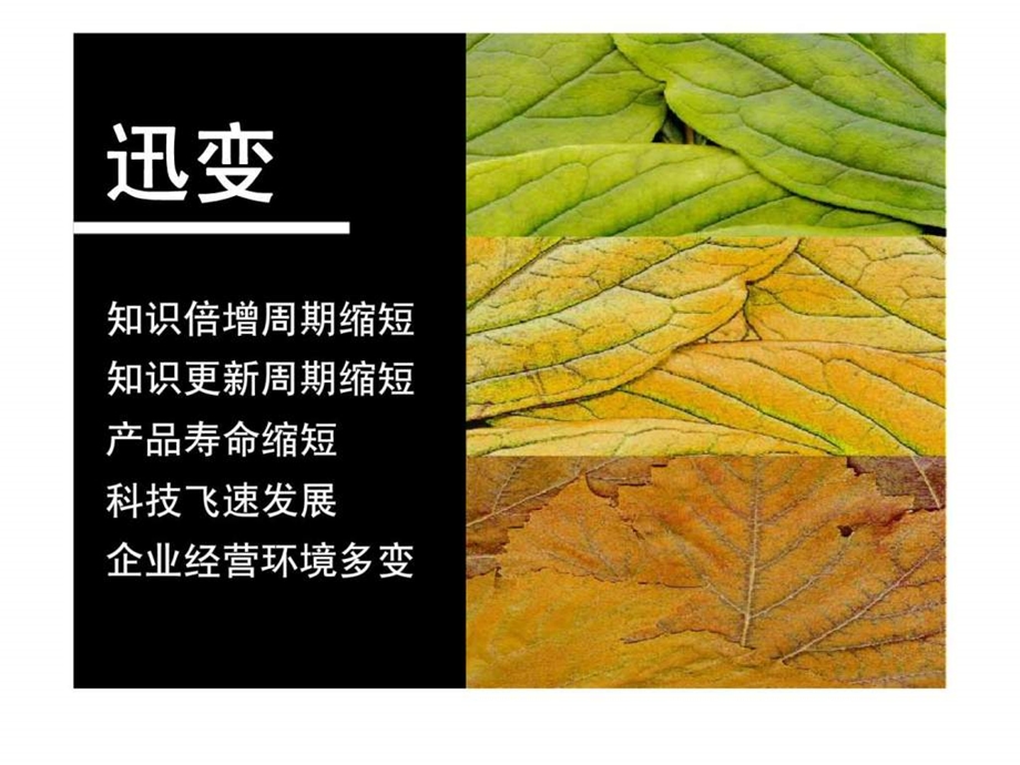 营销系列培训.ppt_第3页