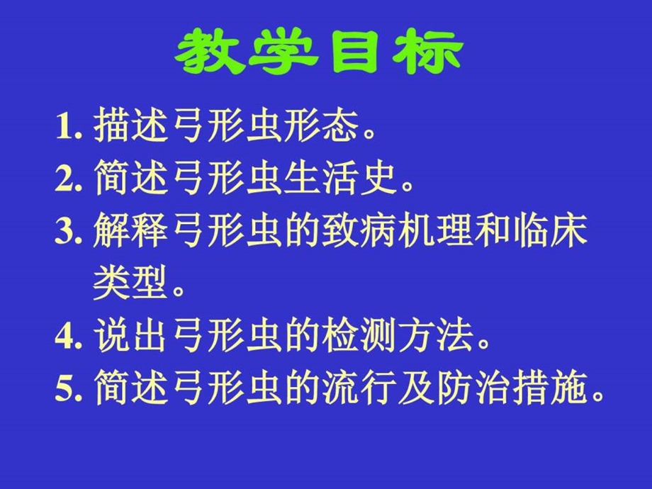 11弓形虫图文.ppt.ppt_第1页