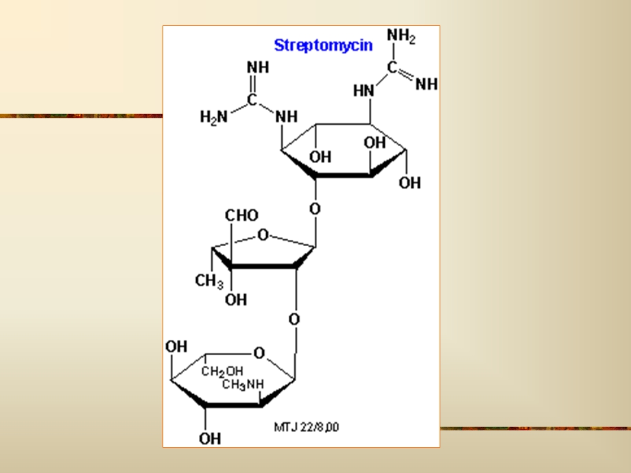 氨基苷类抗生素.ppt_第2页
