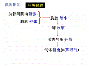 4.4.1流动的组织血液图文.ppt.ppt