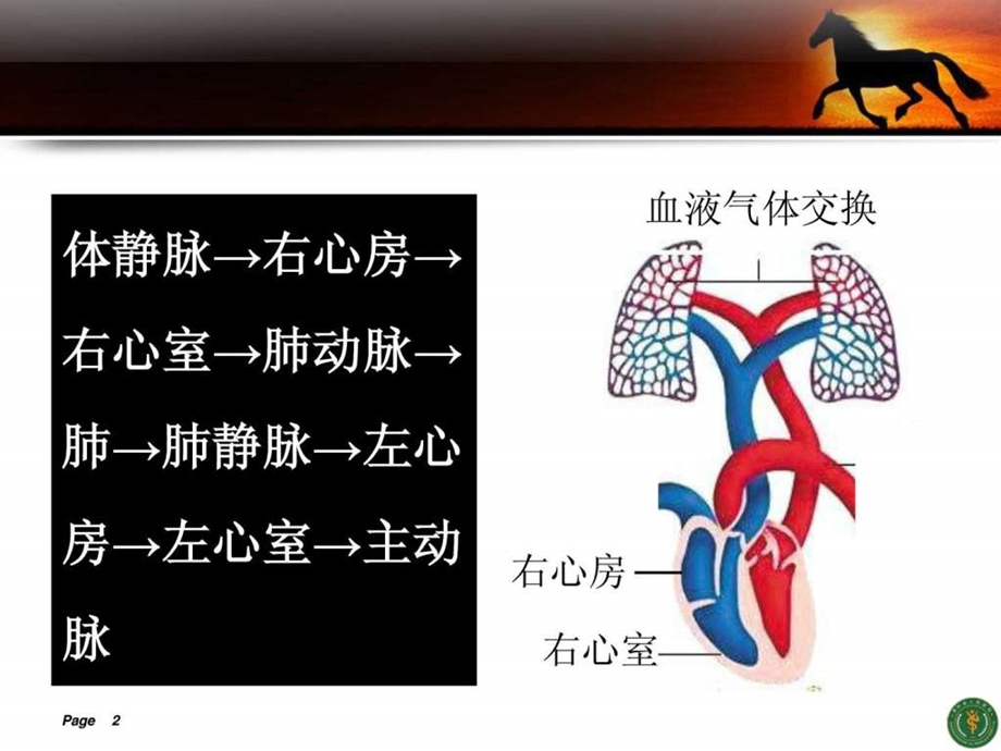 肺心病课件图文.ppt.ppt_第2页