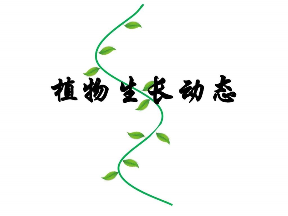 植物生长ppt.ppt.ppt_第1页