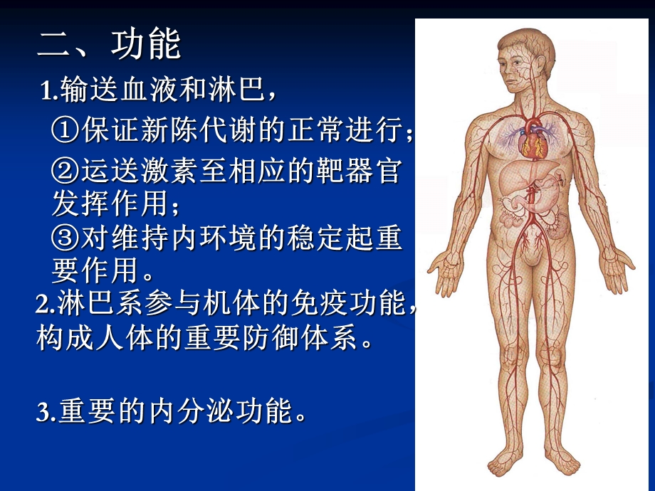 变16.17.09心脏.ppt_第3页