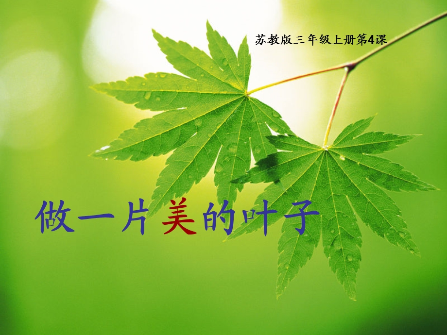 做一片美的叶子 (8).ppt_第1页