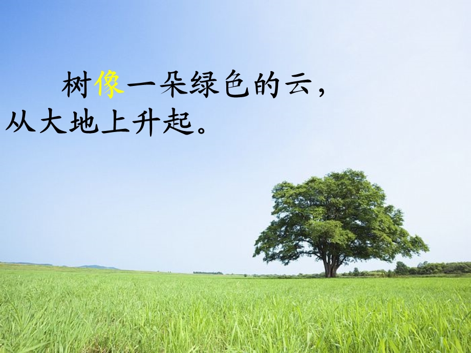 做一片美的叶子 (8).ppt_第3页