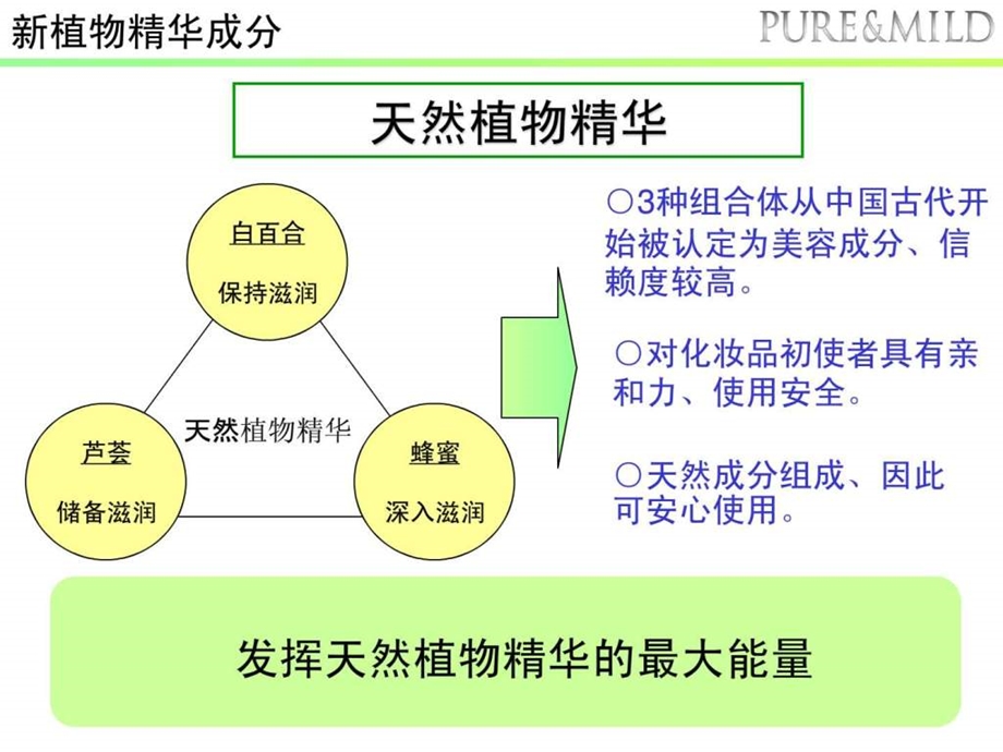 植物水润系列泊美.ppt.ppt_第2页