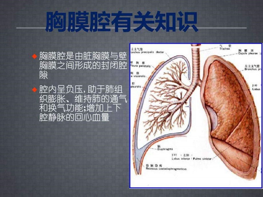 胸腔闭式引流术课件图文1588823435.ppt.ppt_第2页