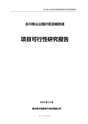 永川桂山公园片没区旧城改造项目可行性研究报告.doc