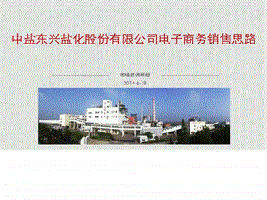 关于公司电子商务平台建设的报告2.ppt