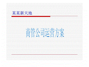 某商业经营管理公司运营方案.ppt