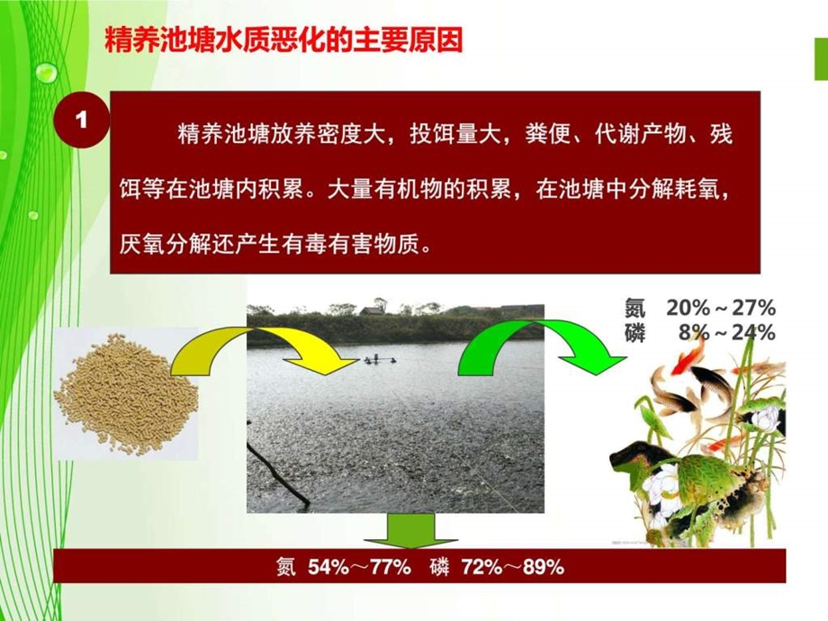 北方精养池塘水质调控技术图文.ppt.ppt_第2页